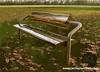 imiroir cecile planchais 350 255