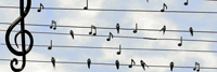 atelier 14 sonore attractivite en ville 200 67